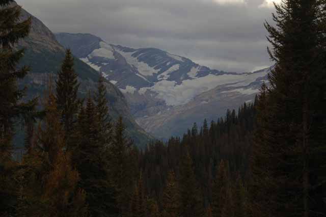 Jackson Glacier